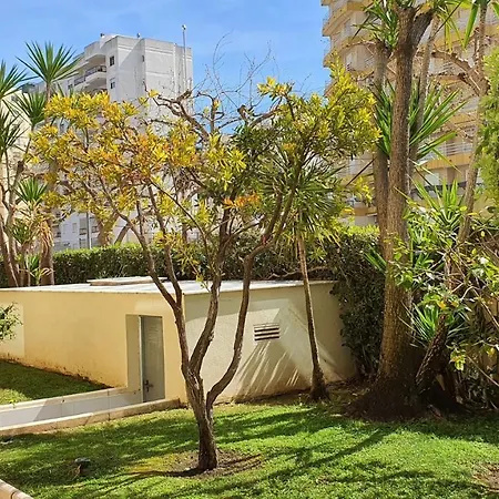 Devesa Park Gandia - Alquiler Solo A Familias